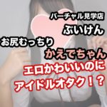 バーチャル見学店ぶいけん112番かえでちゃんとオタクトークで盛り上がった結果